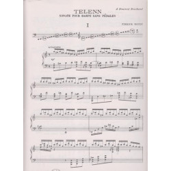 Houdy Pierick - Telenn, sonate pour harpe sans p