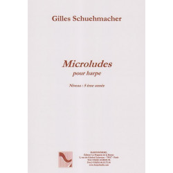 Schuehmacher Gilles - Microludes