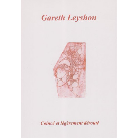 Leyshon Gareth - Coincé et légèrement dérouté