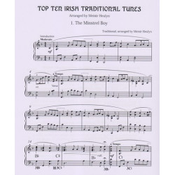 Heulyn Meinir - Top Ten Irish Traditional Tunes