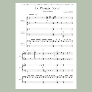 Siterre Christian - Le passage secret